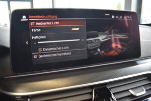 BMW 520d Touring xDrive M-Sport LED LiveCo H&K HuD
